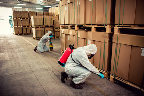 Best Residential Pest Control  in Palm Springs, FL