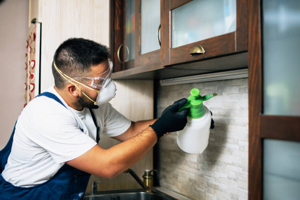 Best Emergency Pest Control  in Palm Springs, FL