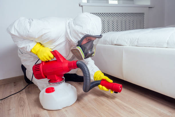 Best Local Pest Control Services  in Palm Springs, FL