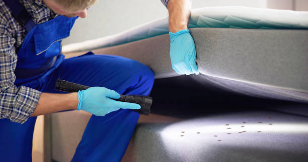 Best Pest Removal Services  in Palm Springs, FL