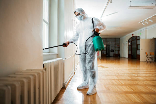 Best Affordable Pest Control Services  in Palm Springs, FL